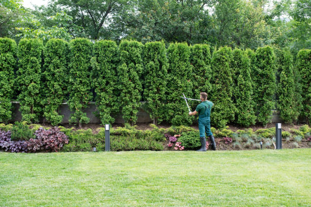 Best Lawn Maintenance Plans  in Ellisburg, NJ